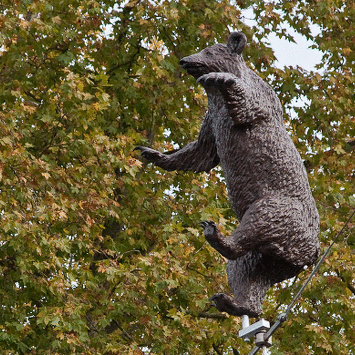 Balancierender Bär